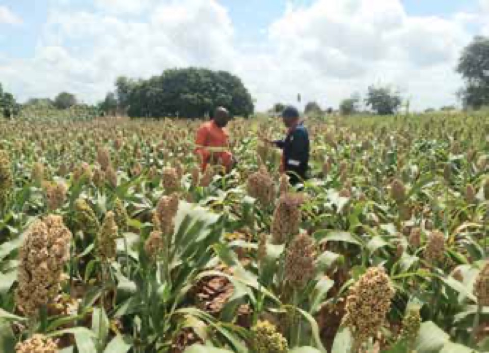 Margret Nhidza farming